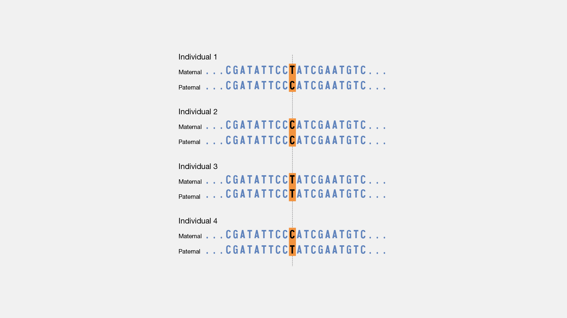 Single Nucleotide Polymorphisms