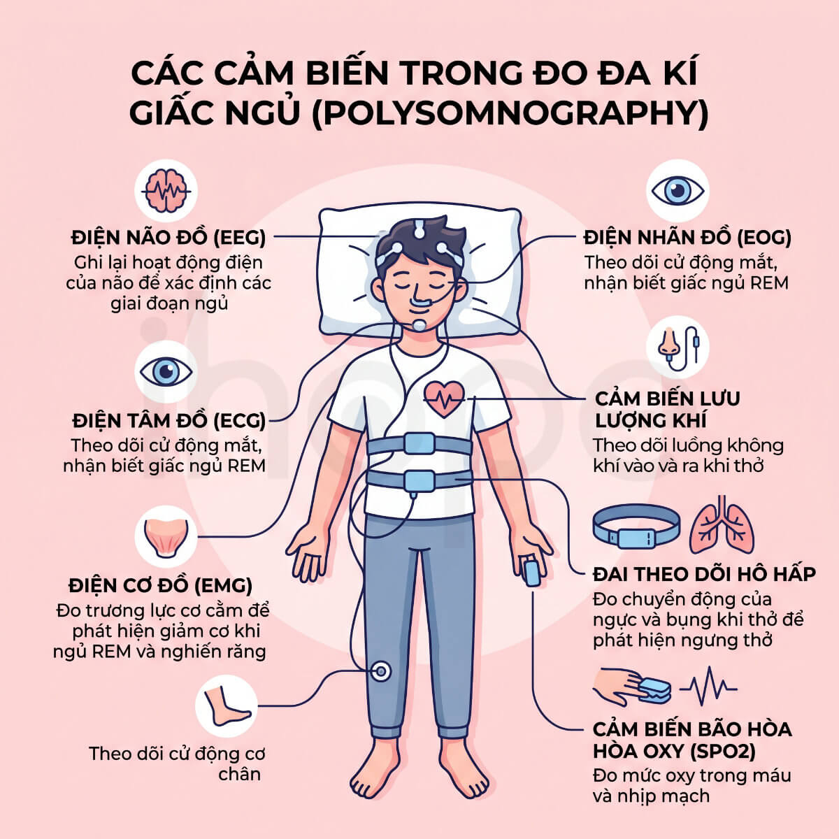 Các loại cảm biến trong đo đa kí giấc ngủ
