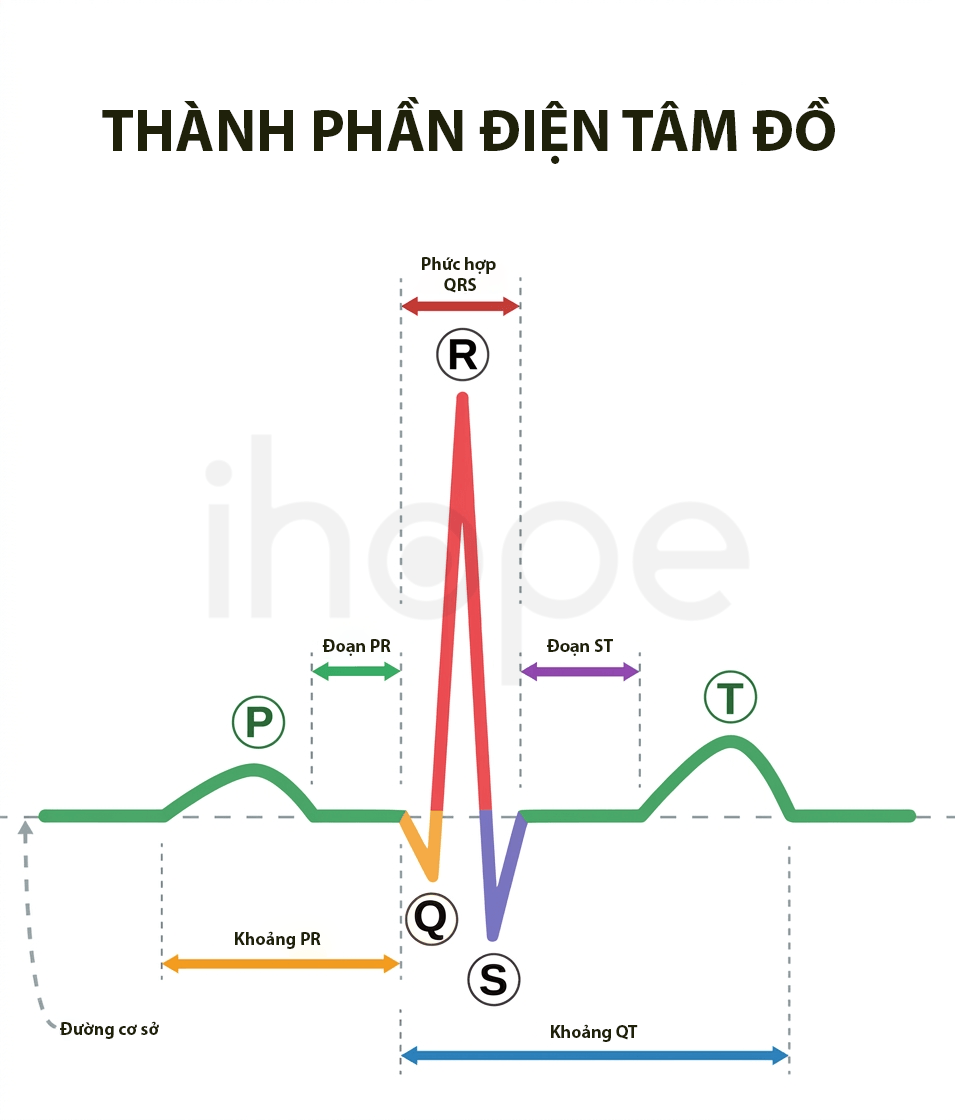 Thanh phan dien tam do